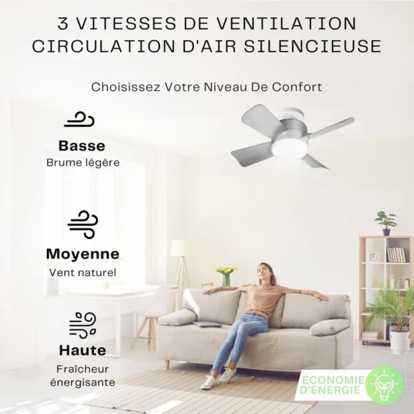 Ventilateur-Lumière Intelligent