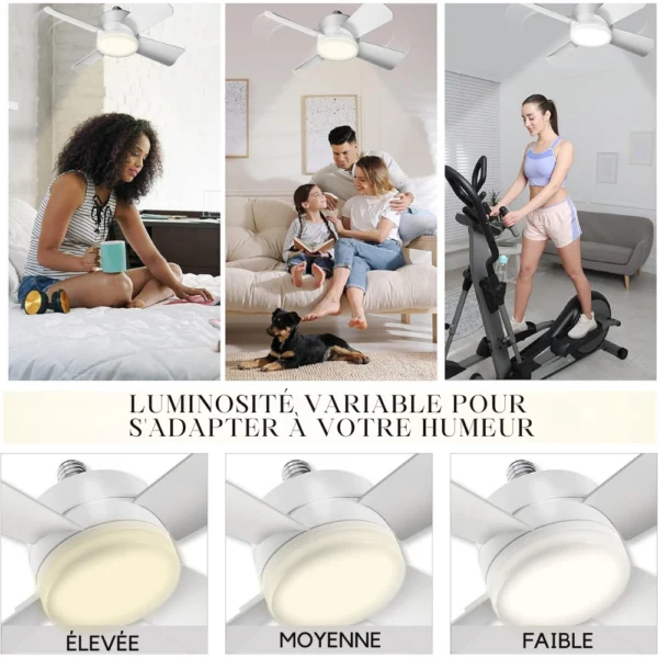 Ventilateur-Lumière Intelligent